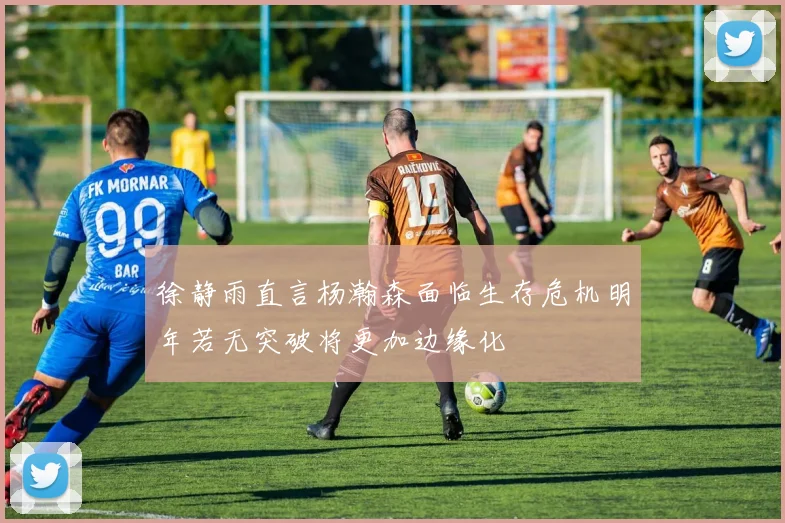 徐静雨直言杨瀚森面临生存危机明年若无突破将更加边缘化