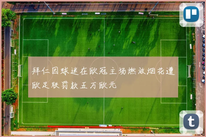 拜仁因球迷在欧冠主场燃放烟花遭欧足联罚款五万欧元