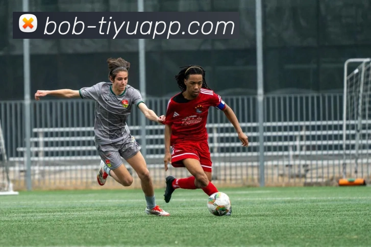 多媒体互动体验