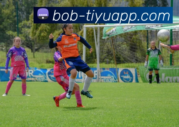 BOB体育APP 高清赛事图